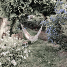 plot